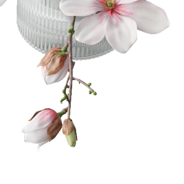 Plantas Primeiro plano